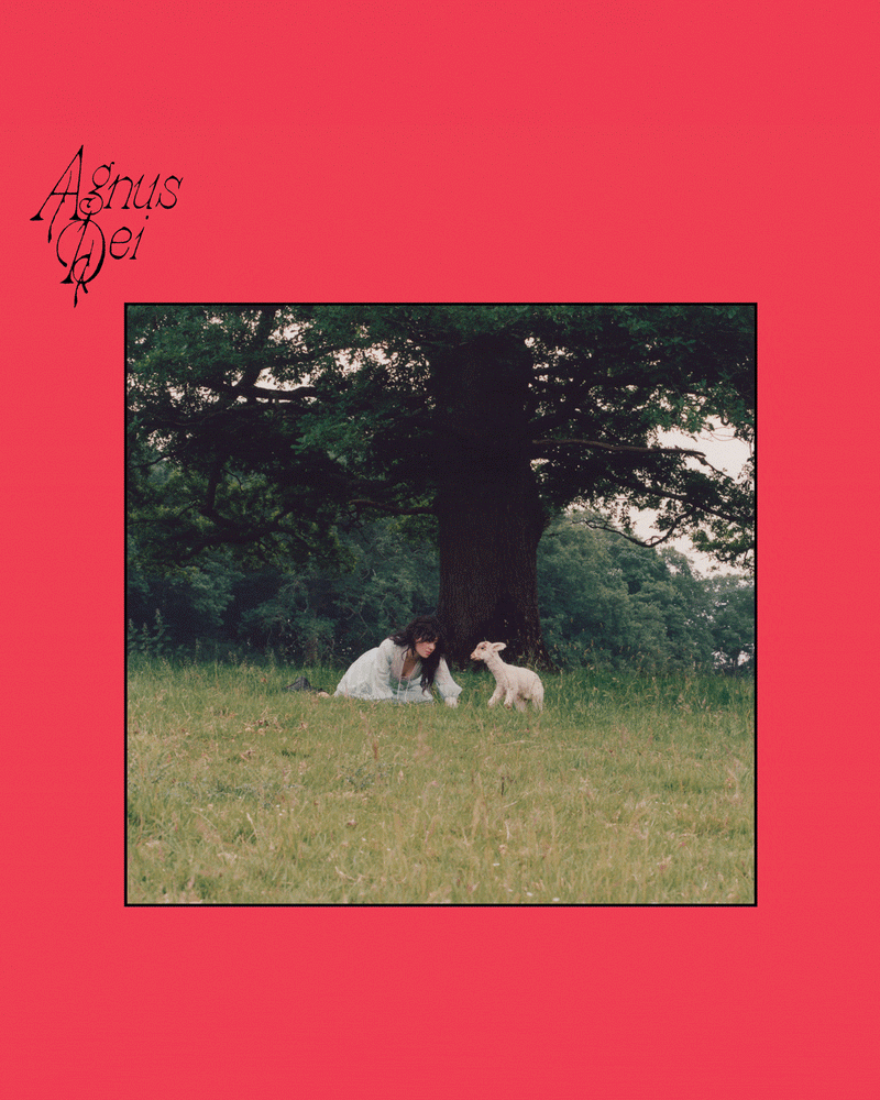 From The Pyre: Vignette Edition LP - The Last Dinner Party Official Store